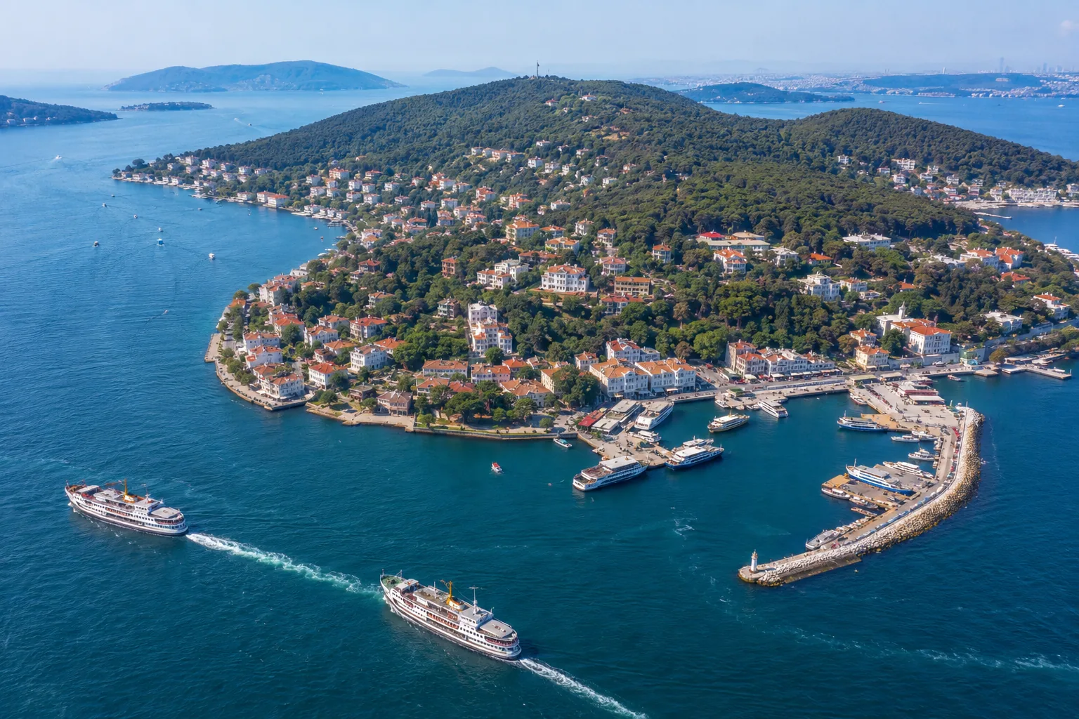 Princes Islands day tour from Istanbul gallery image 10